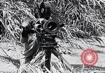 Image of Chimpanzee Los Angeles California USA, 1932, second 22 stock footage video 65675037700