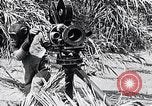 Image of Chimpanzee Los Angeles California USA, 1932, second 23 stock footage video 65675037700