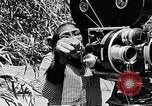 Image of Chimpanzee Los Angeles California USA, 1932, second 30 stock footage video 65675037700