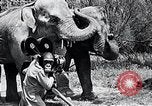 Image of Chimpanzee Los Angeles California USA, 1932, second 39 stock footage video 65675037700