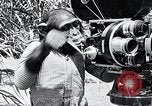 Image of Chimpanzee Los Angeles California USA, 1932, second 42 stock footage video 65675037700