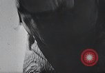 Image of Chimpanzee Los Angeles California USA, 1932, second 53 stock footage video 65675037700