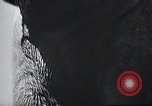 Image of Chimpanzee Los Angeles California USA, 1932, second 54 stock footage video 65675037700