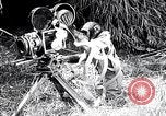 Image of Chimpanzee Los Angeles California USA, 1932, second 55 stock footage video 65675037700