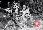 Image of Chimpanzee Los Angeles California USA, 1932, second 56 stock footage video 65675037700