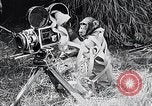 Image of Chimpanzee Los Angeles California USA, 1932, second 57 stock footage video 65675037700