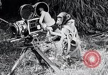 Image of Chimpanzee Los Angeles California USA, 1932, second 58 stock footage video 65675037700