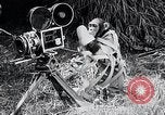 Image of Chimpanzee Los Angeles California USA, 1932, second 59 stock footage video 65675037700