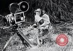 Image of Chimpanzee Los Angeles California USA, 1932, second 60 stock footage video 65675037700