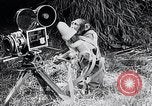 Image of Chimpanzee Los Angeles California USA, 1932, second 61 stock footage video 65675037700