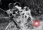 Image of Chimpanzee Los Angeles California USA, 1932, second 62 stock footage video 65675037700