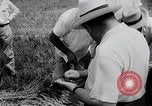 Image Fédération des agriculteurs South Dakota United States USA, 1954, de la seconde 5 séquences d'archives historiques vidéo 65675037718