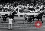 Immagine di Scott Frost Goshen New York USA, 1954, secondo 8 filmato di repertorio 65675037722