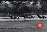 Immagine di Scott Frost Goshen New York USA, 1954, secondo 31 filmato di repertorio 65675037722