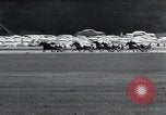 Immagine di Scott Frost Goshen New York USA, 1954, secondo 41 filmato di repertorio 65675037722