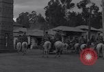 Immagine di Conte Vinci Gigliucci Ad Addis Abeba in Etiopia, 1935, secondo 39 filmato di repertorio 65675037724