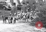 Image hounds United States USA, 1935, de la seconde 10 séquences d'archives historiques vidéo 65675037726