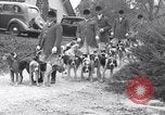 Image hounds United States USA, 1935, de la seconde 11 séquences d'archives historiques vidéo 65675037726