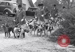 Image hounds United States USA, 1935, de la seconde 12 séquences d'archives historiques vidéo 65675037726