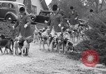 Image hounds United States USA, 1935, de la seconde 13 séquences d'archives historiques vidéo 65675037726
