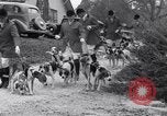 Image hounds United States USA, 1935, de la seconde 14 séquences d'archives historiques vidéo 65675037726