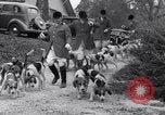 Image hounds United States USA, 1935, de la seconde 15 séquences d'archives historiques vidéo 65675037726