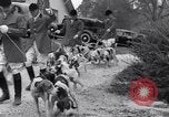 Image hounds United States USA, 1935, de la seconde 17 séquences d'archives historiques vidéo 65675037726