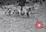 Image hounds United States USA, 1935, de la seconde 21 séquences d'archives historiques vidéo 65675037726