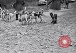 Image hounds United States USA, 1935, de la seconde 23 séquences d'archives historiques vidéo 65675037726
