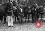Image hounds United States USA, 1935, de la seconde 24 séquences d'archives historiques vidéo 65675037726