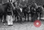 Image hounds United States USA, 1935, de la seconde 25 séquences d'archives historiques vidéo 65675037726