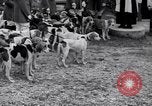 Image hounds United States USA, 1935, de la seconde 29 séquences d'archives historiques vidéo 65675037726