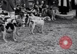 Image hounds United States USA, 1935, de la seconde 31 séquences d'archives historiques vidéo 65675037726