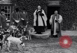 Image hounds United States USA, 1935, de la seconde 37 séquences d'archives historiques vidéo 65675037726