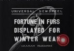 Standbild nationalen Pelz anzeigen New York United States USA, 1936, aus Sekunde 1 historischem Filmmaterial Videoclip 65675037729
