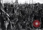 Standbild Carl Carlson Licking County Ohio USA, 1936, aus Sekunde 21 historischem Filmmaterial Videoclip 65675037732