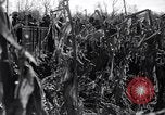 Standbild Carl Carlson Licking County Ohio USA, 1936, aus Sekunde 22 historischem Filmmaterial Videoclip 65675037732