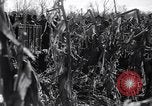 Standbild Carl Carlson Licking County Ohio USA, 1936, aus Sekunde 23 historischem Filmmaterial Videoclip 65675037732