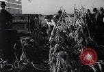 Standbild Carl Carlson Licking County Ohio USA, 1936, aus Sekunde 31 historischem Filmmaterial Videoclip 65675037732