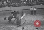Immagine di Mostra Nazionale del Cavallo New York United States USA, 1936, secondo 11 filmato di repertorio 65675037735