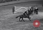 Immagine di Mostra Nazionale del Cavallo New York United States USA, 1936, secondo 14 filmato di repertorio 65675037735