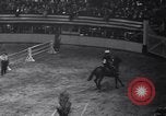 Immagine di Mostra Nazionale del Cavallo New York United States USA, 1936, secondo 17 filmato di repertorio 65675037735