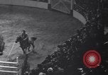 Immagine di Mostra Nazionale del Cavallo New York United States USA, 1936, secondo 20 filmato di repertorio 65675037735
