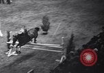 Immagine di Mostra Nazionale del Cavallo New York United States USA, 1936, secondo 21 filmato di repertorio 65675037735