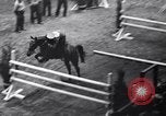 Immagine di Mostra Nazionale del Cavallo New York United States USA, 1936, secondo 22 filmato di repertorio 65675037735