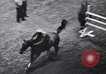 Immagine di Mostra Nazionale del Cavallo New York United States USA, 1936, secondo 23 filmato di repertorio 65675037735