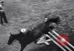 Immagine di Mostra Nazionale del Cavallo New York United States USA, 1936, secondo 24 filmato di repertorio 65675037735