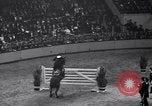 Immagine di Mostra Nazionale del Cavallo New York United States USA, 1936, secondo 29 filmato di repertorio 65675037735