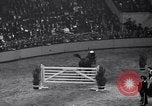 Immagine di Mostra Nazionale del Cavallo New York United States USA, 1936, secondo 30 filmato di repertorio 65675037735