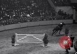Immagine di Mostra Nazionale del Cavallo New York United States USA, 1936, secondo 31 filmato di repertorio 65675037735